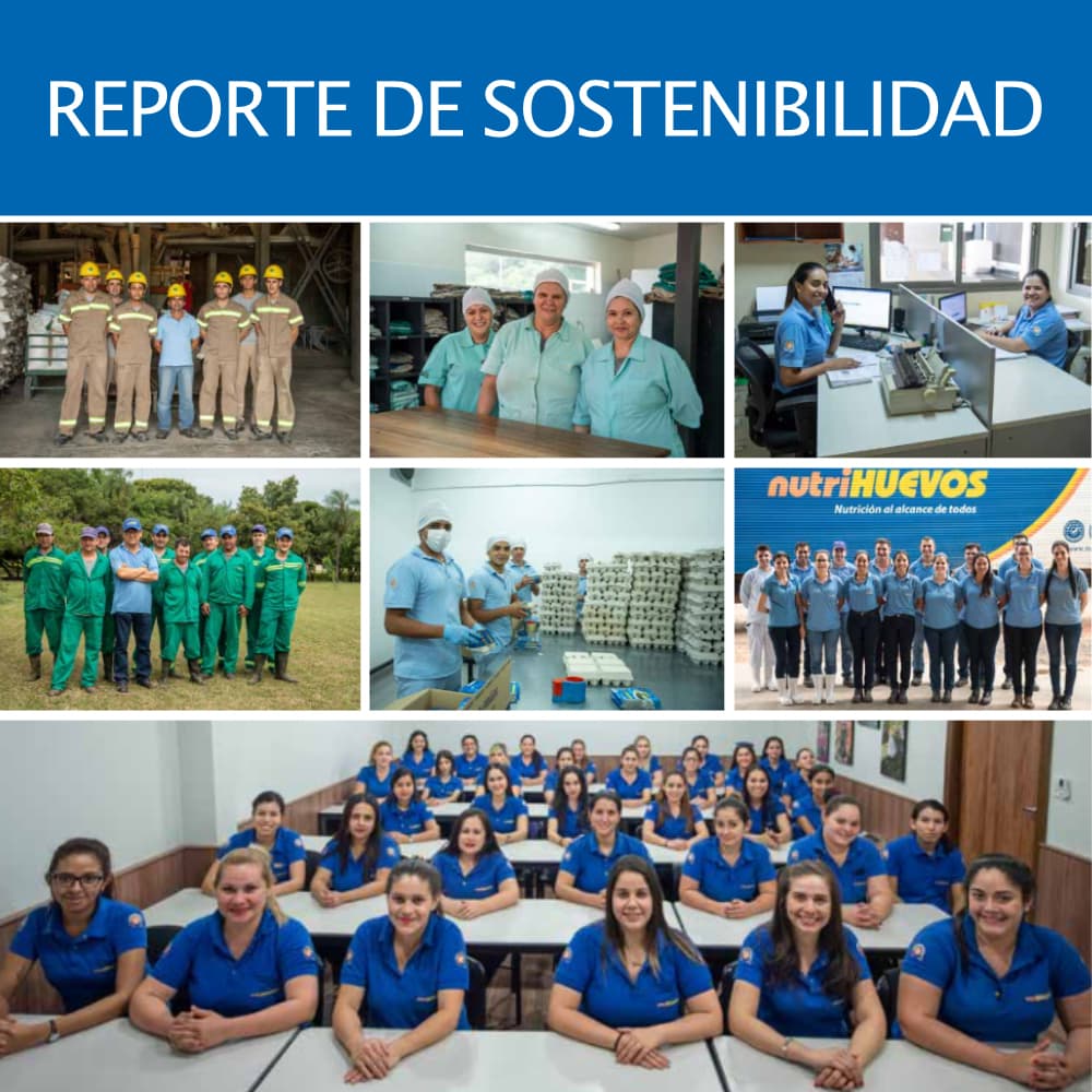 Vista previa de Reporte Sostenibilidad 2018