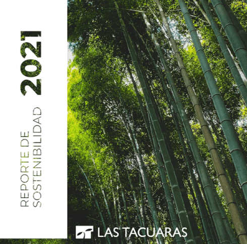 Reporte de Sostenibilidad 2020