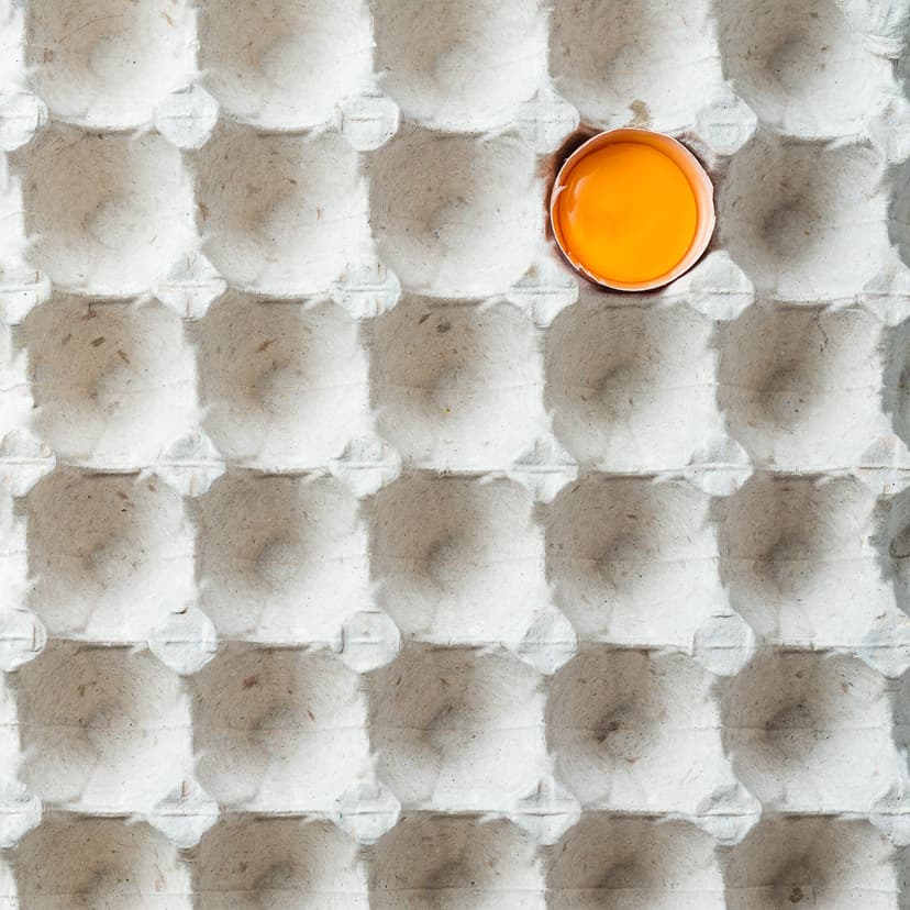 Productos Nutrihuevos - Distribución