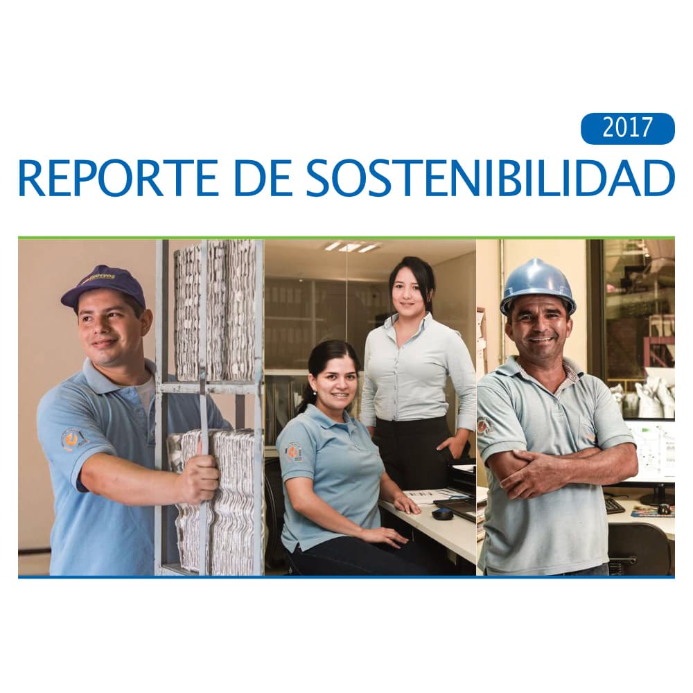 Vista previa de Reporte de sostenibilidad 2017