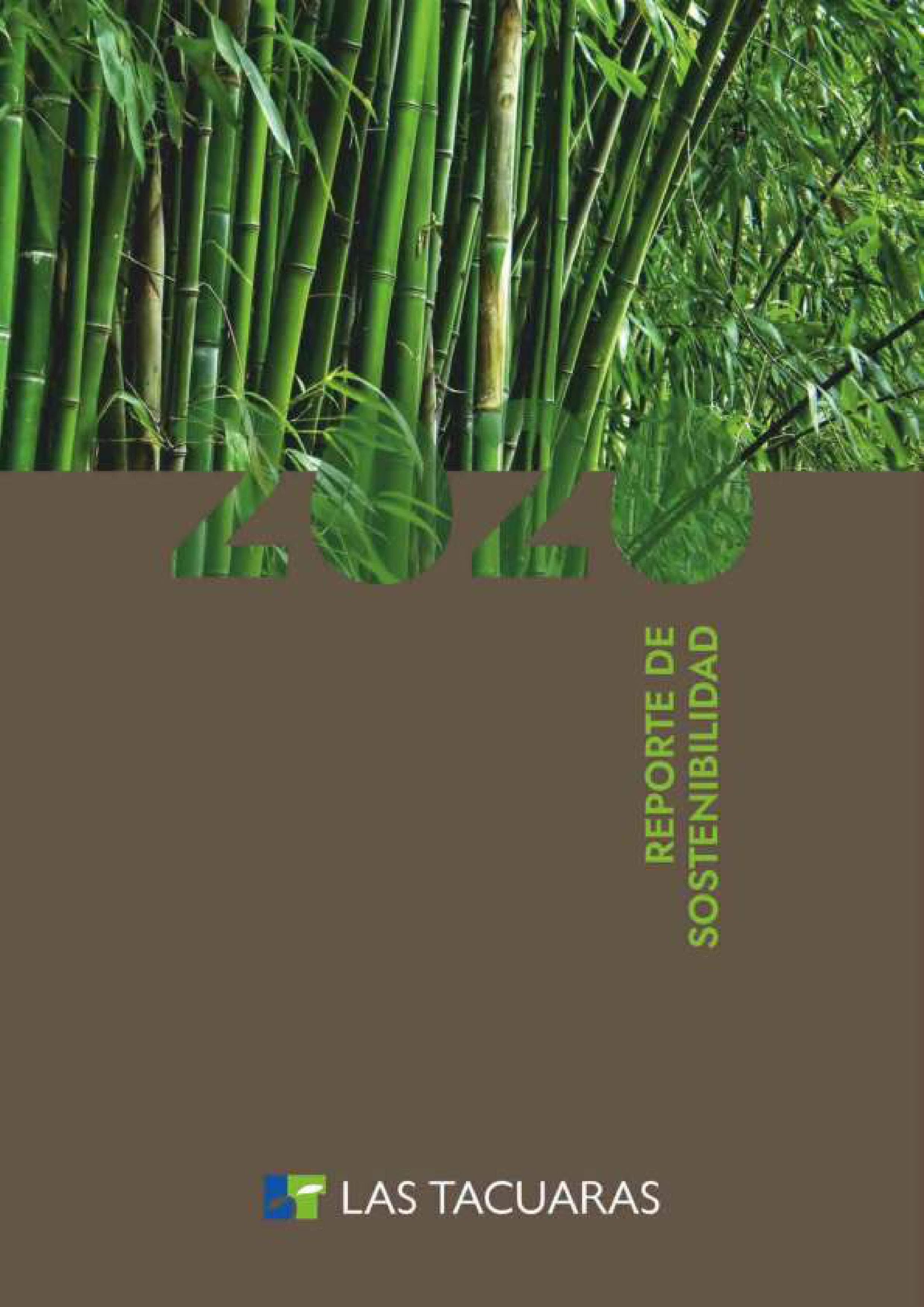Vista previa de Reporte de Sostenibilidad 2020